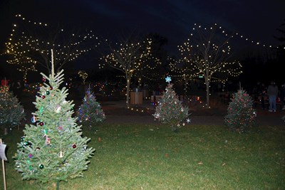 Holiday Light Festival Update