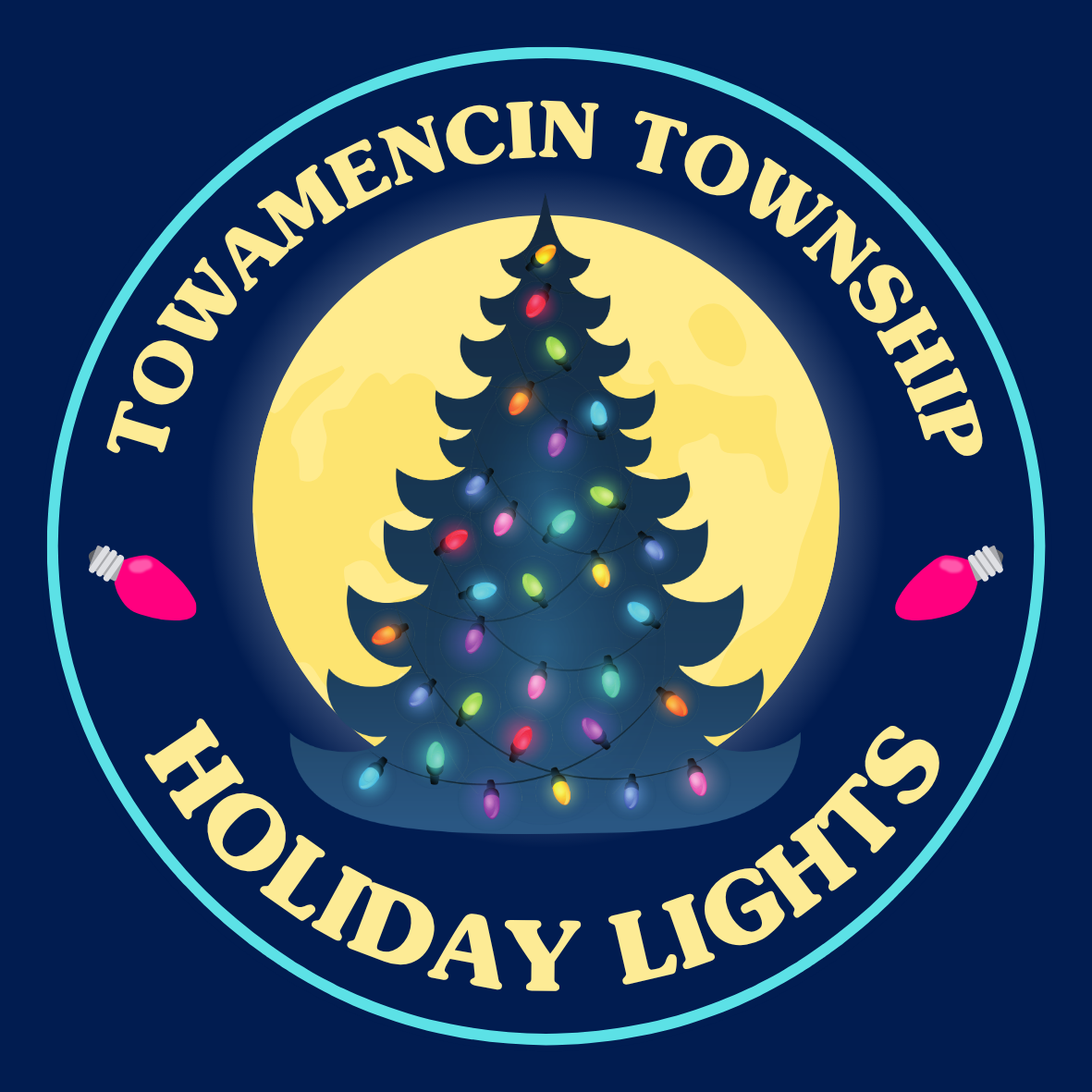 Holiday Lights & Surrey Ride Ticket Information